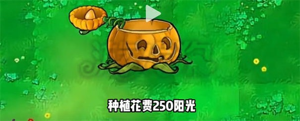 植物大战僵尸杂交版3.1